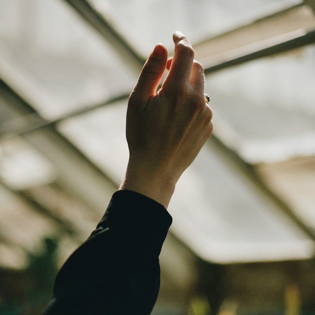 Archillect (@archillect) on Twitter photo 