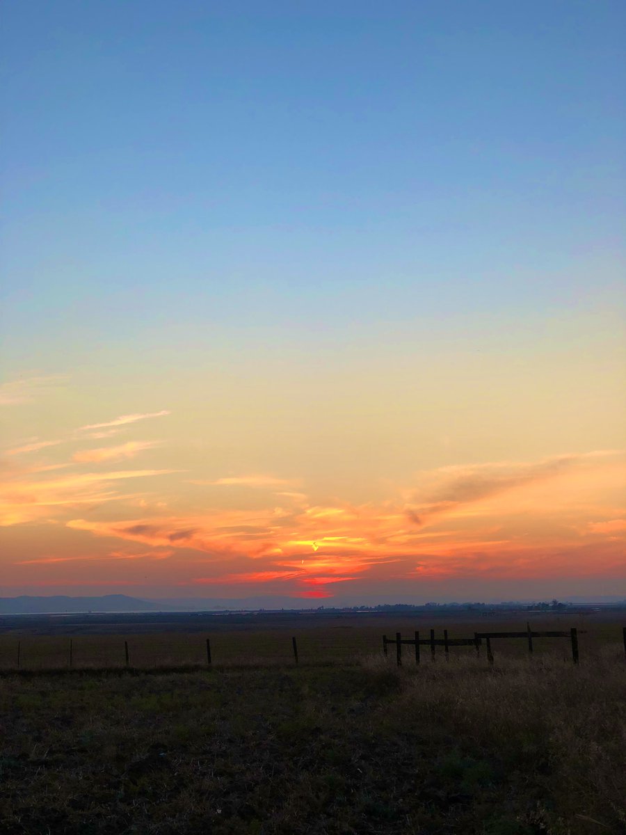 TlFFANlE's tweet photo. Something about this sunsetโฆ.
Happy weekend everyone!!
#magical #Treasure #sunets #sundown #PhotoOfTheDay #nft #beauty #countrygirl #country https://t.co/y3Ha2c32xR