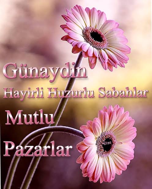 Anlaşıldığı an büyüsü bozulan değildir güzellik; Anlaşıldıkça kendisine bağlanılan, vazgeçilemeyen, yerine ikame edecek bir şey bulunamayandır.. #Günaydin 🌸 #PazarSabahı 🌸