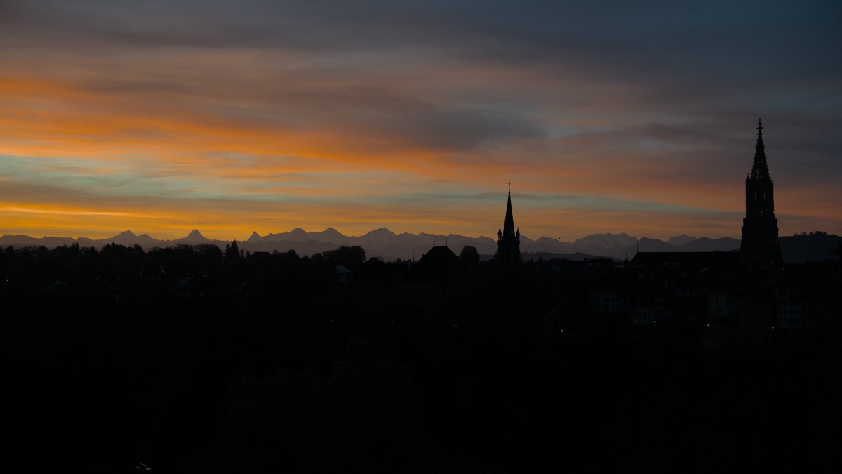 Jan Holler tweet media