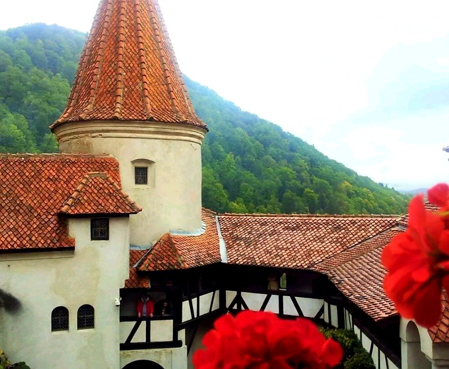 RomaniaWow's tweet photo. Hey @elonmusk, did you know in #Romania there are more wow places than #DraculaCastle?
#RomaniaWow #Transylvania #HalloweenInRomania https://t.co/qWs1iNh3ST