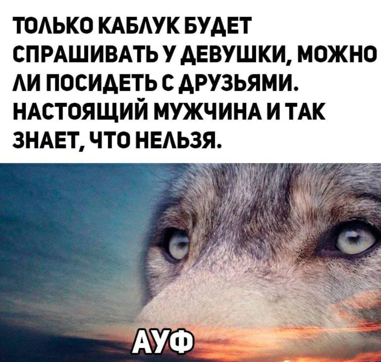 Новые картинки с Цитатами