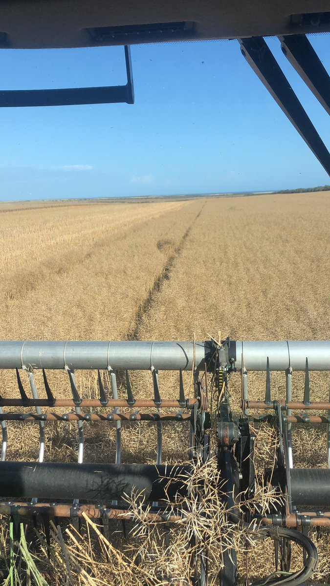 jeremy calliss tweet media