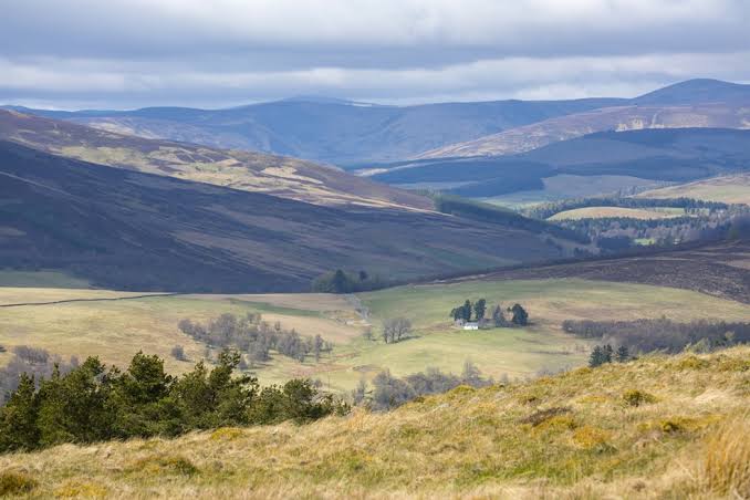 Glen Prosen grouse moor acquired for nature restoration — thanks to the ambition of <a href="/ForestryLS/">Forestry and Land Scotland</a>. 🎉

They’re the first public body to buy an upland estate to restore peatlands and expand native woodland to deliver benefits for nature, climate and people.