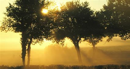 Changer d'heure... Afficher la prétention De l'homme sur la nature Se résigner... 'Gagner une heure' Serait dormir une heure de plus Tard se coucher plutôt que.. Tôt que se lever Sacrifier la fragilité conquérante des levers de soleil A la guimauve déclinante de ses couchers