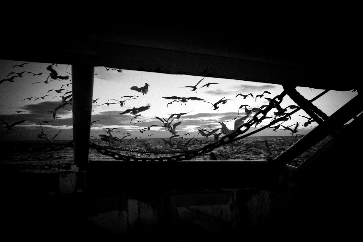 ᴘʜɪʟ ᴋɴᴇᴇɴ 🇮🇲 tweet media