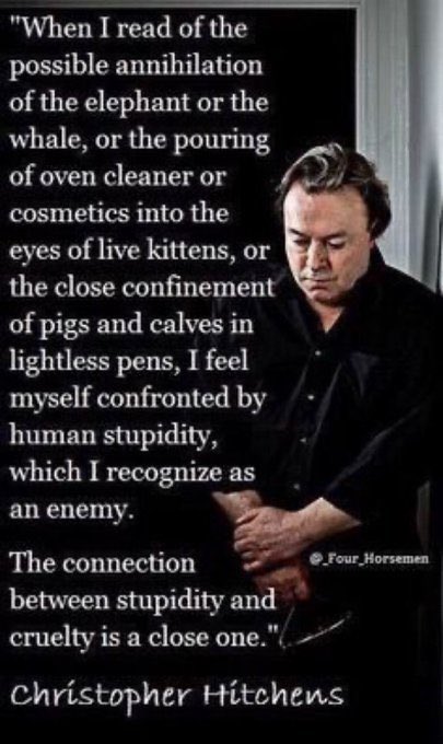 ‘The connection between stupidity and cruelty is a close one.’
Christopher Hitchens