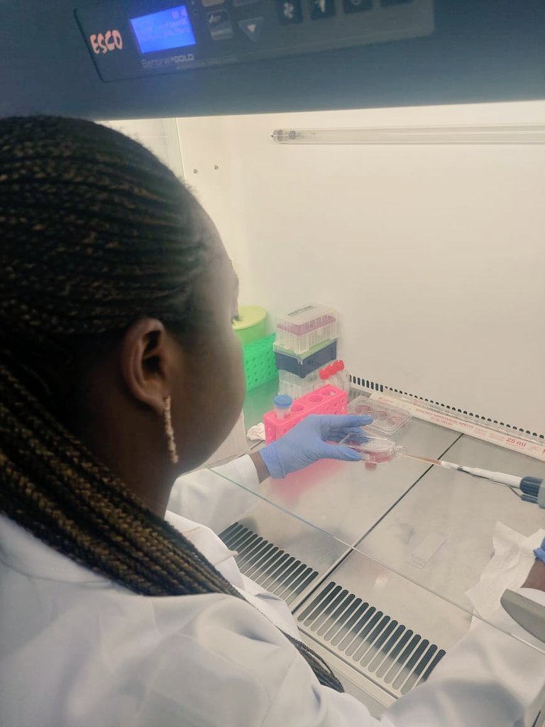 CeGRIB_'s tweet photo. "@CeGRIB_ PhD Fellows on a research visit to @WACCBIP_UG.   Many thanks to @AniwehYaw  for hosting them. Thank you @gordon_awandare for the leadership.
#researchcollaboration #science #malariabiology #aniwehlab https://t.co/CZVI7bqmL0