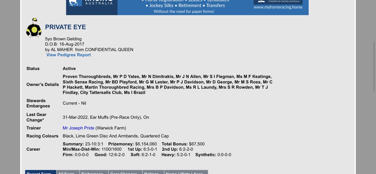 Quinny_1's tweet photo. Private Eye is the horse you dream of owning 

The $62.500 Adelaide @mmsnippets purchase has now won 10 of 23 starts and over $6 million in prize money. https://t.co/H5NgIR3fzT