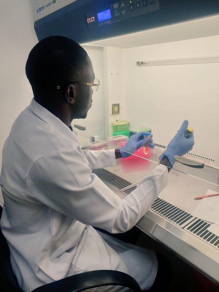 CeGRIB_'s tweet photo. "@CeGRIB_ PhD Fellows on a research visit to @WACCBIP_UG.   Many thanks to @AniwehYaw  for hosting them. Thank you @gordon_awandare for the leadership.
#researchcollaboration #science #malariabiology #aniwehlab https://t.co/CZVI7bqmL0