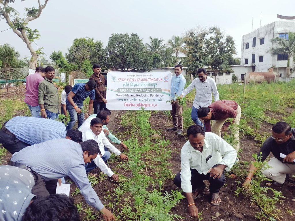 HingoliKvk's tweet photo. #SpecialCampaign2 #ppshelke 
Farm weeding and agro waste management with the help of students and staff. 29.10.2022. @HingoliKvk @AtulMurai @AnilOlambe https://t.co/yoDX2UDSCe