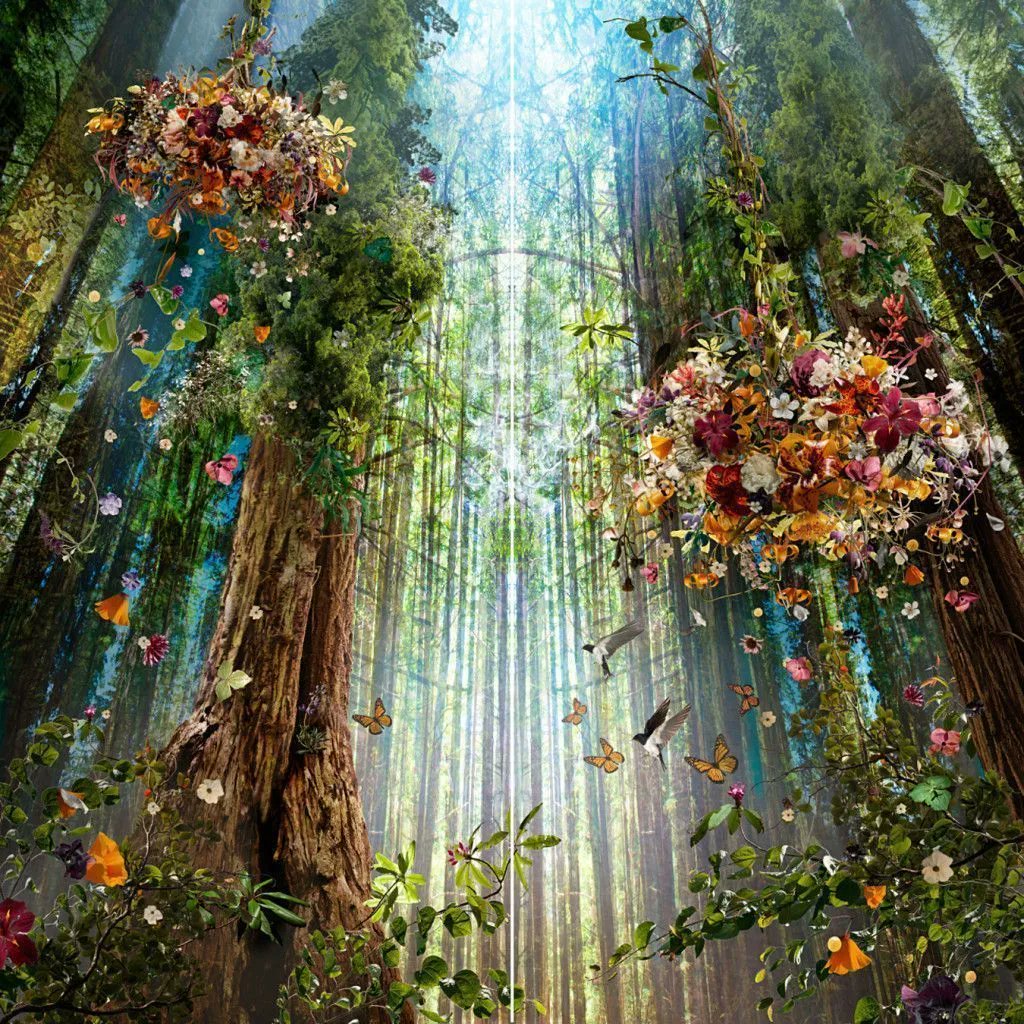 noveliciouss's tweet photo. "Think of all the #beauty still left around you and be #happy." 
— Anne Frank
#writing #inspiration 
#Art Ysabel LeMay https://t.co/wRVrIdwZ0W