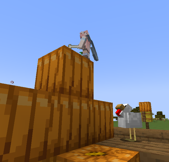 SpaceCraft_SMP's tweet photo. What is this chicken doing? #SpaceCraftSMP https://t.co/56gQtkB8xd