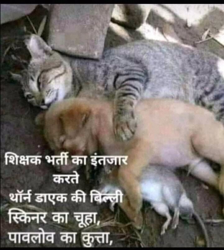 #UPneed_primary_teachers <a href="/myogiadityanath/">Yogi Adityanath</a> <a href="/narendramodi/">Narendra Modi</a> <a href="/aajtak/">AajTak</a> <a href="/PMOIndia/">PMO India</a> <a href="/thisissanjubjp/">Sandeep Singh</a> it's my humble request to education minister of up ..plz take action on basic teachers recruitment ..Many students are mentally depressed because of unemployment...