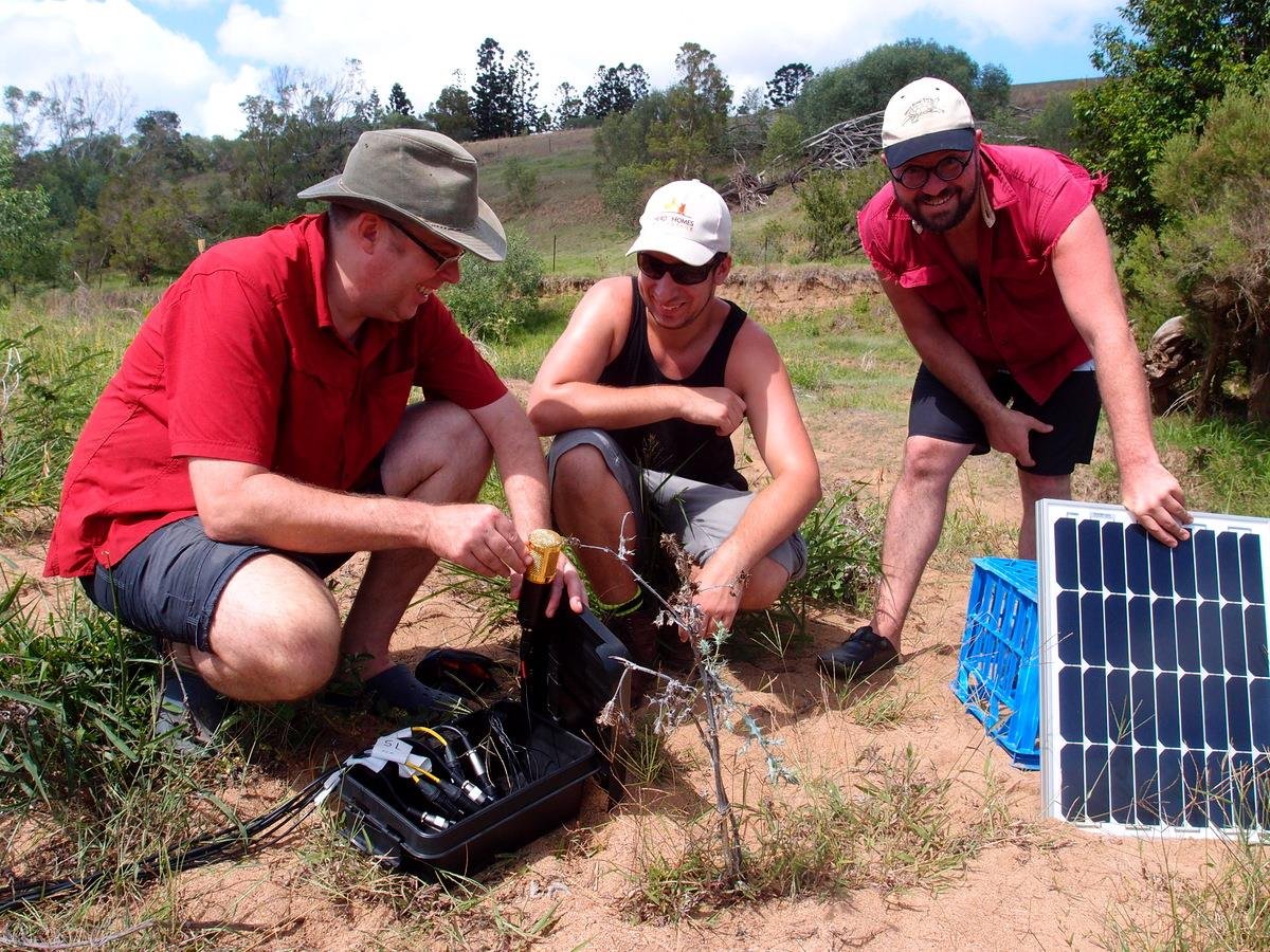 Simon Linke 🎤🐠 tweet media