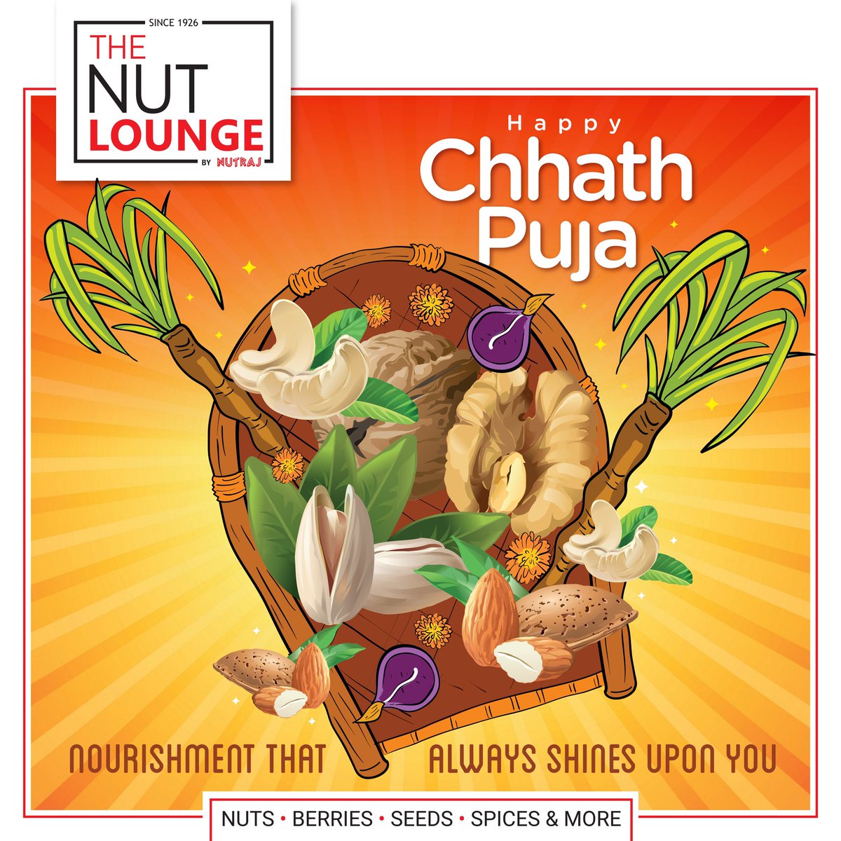 The Nut Lounge tweet media