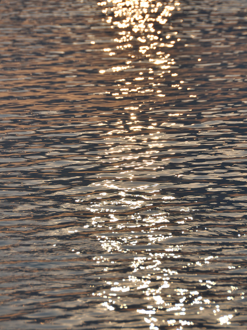 GM #NFTCommmunity ☀️ be shinning today and everyday in your life