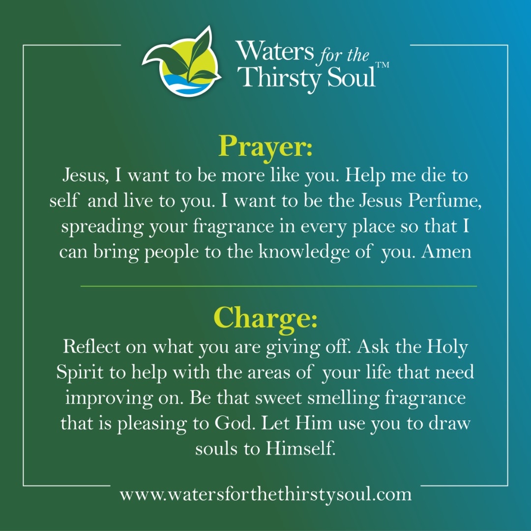 watersforsoul's tweet photo. Be that sweet-smelling fragrance that is pleasing to God.

Have a great Sunday!

#sundaycharge #sundayvibes #fragrance #sweetsmelling #devotionalseries #devotionalbook #pleasingtogod #watersforthethirstysoul https://t.co/QWYmuSNYWq