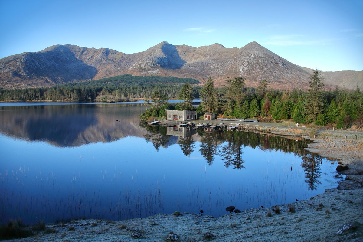 Chaosheng Zhang tweet media