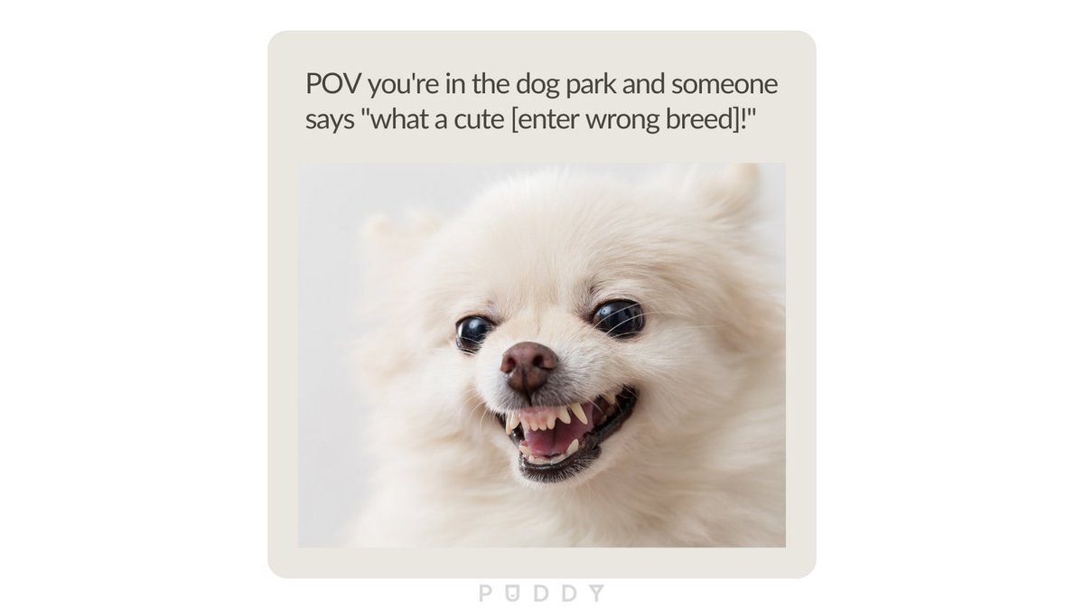 why does it feel like a personal attack though?

#dogmom #dogwalker #ukpets #simplesmartpetcare