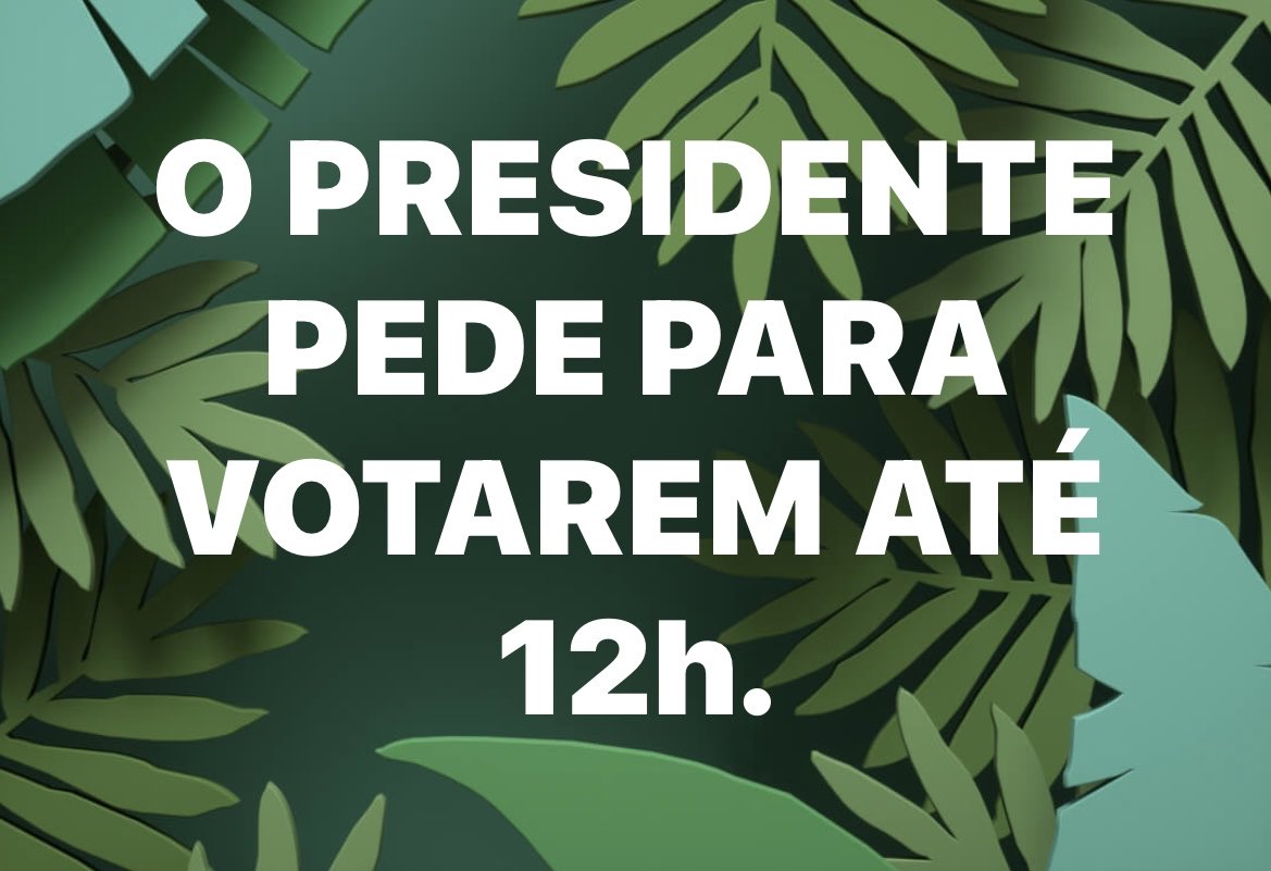 sararbangelo tweet media