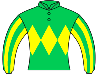 競馬の勝負服みたいだよねって話になった。三月さんがサトノ、私がメイショウ。  