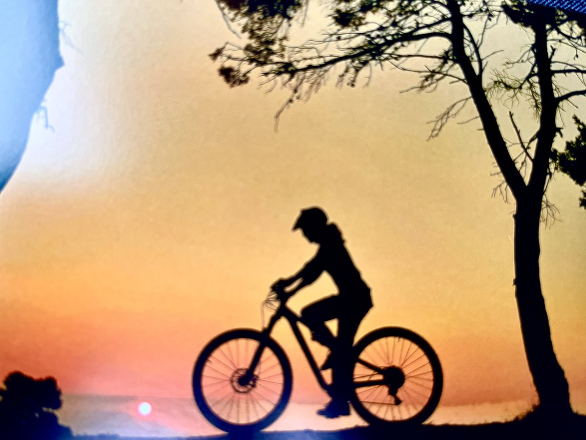mtbadventure's tweet photo. #liguria #vip #passeggiate #sanremo #FCI https://t.co/QI6clAvpax