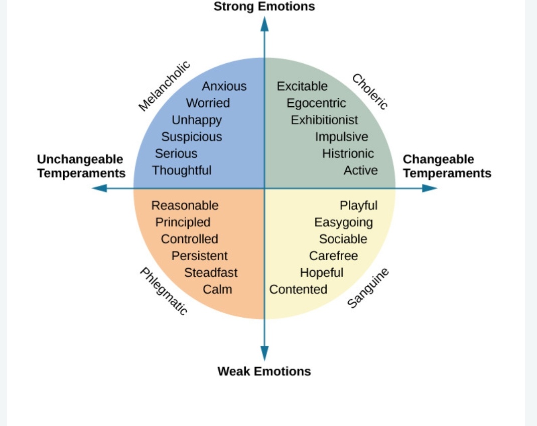 Temperament Types