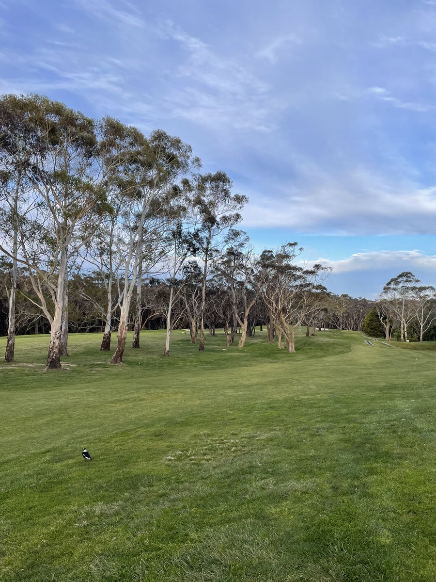 mello444's tweet image. Scenes from a different ‘hood