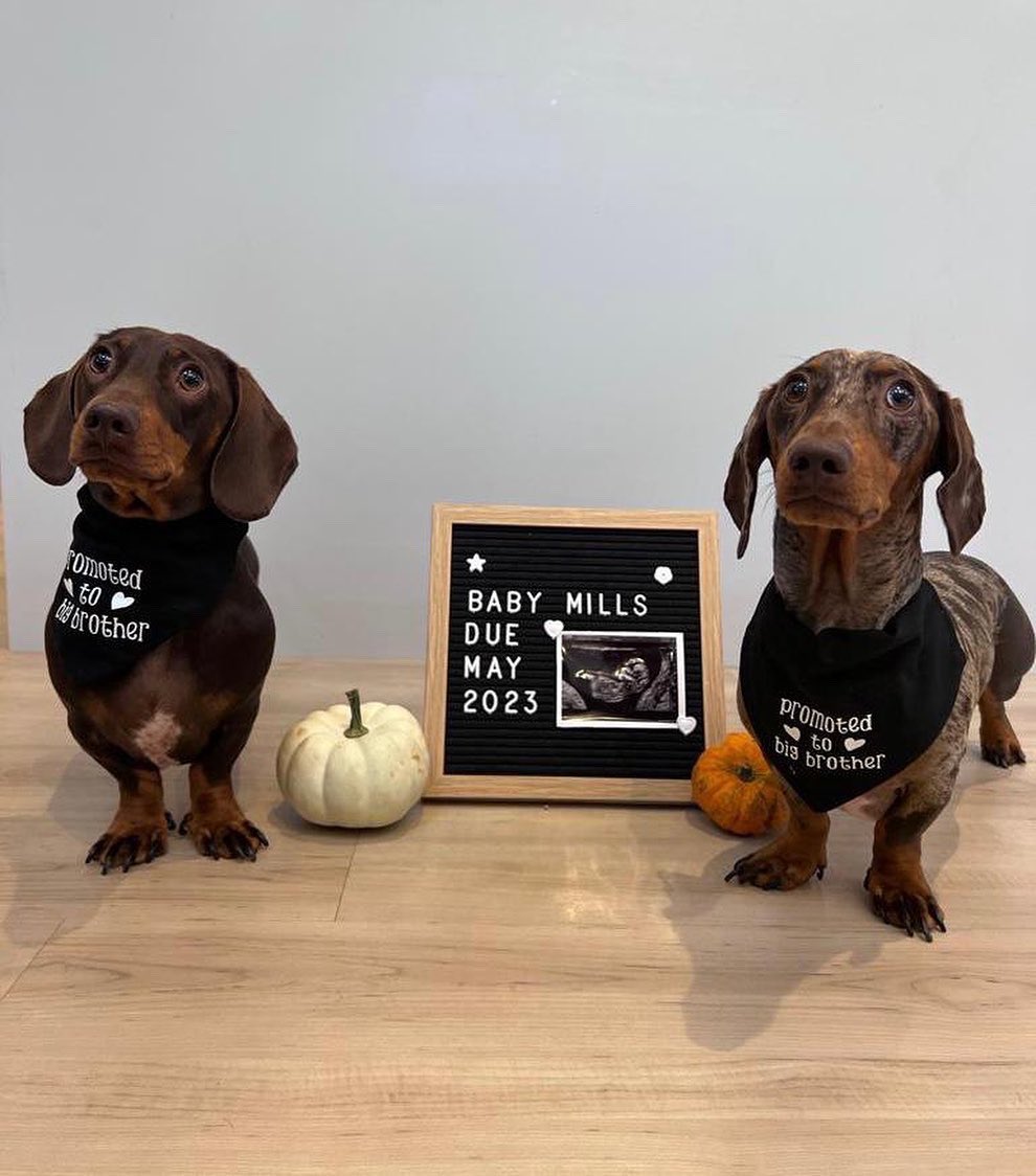 Pleased to announce that me and Emma are expecting our first, next May 2023 - We are over the moon and can’t wait to be parents xxx