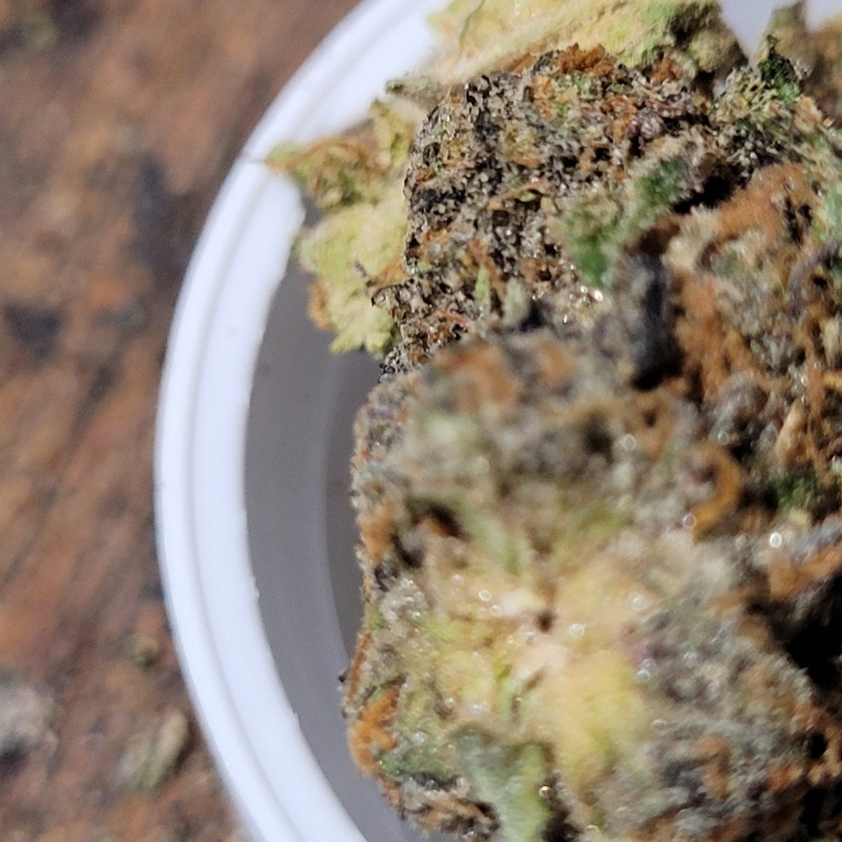 OregonWeedMan's tweet photo. Working on getting clear close‐ups. Drop your #weed #flower close‐ups. Or I'd love to hear what settings or mode you're shooting in. I'm using the s21 fe. Decent enough camera. But not amazing. #oregonlife #cannabislife https://t.co/7CkPTCGL2q