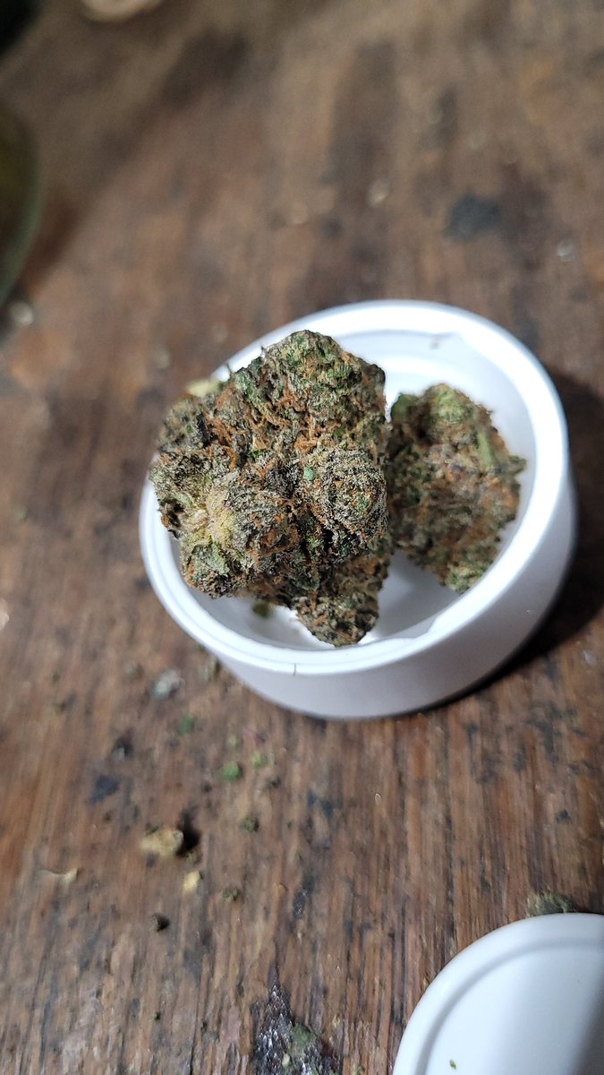 Working on getting clear close‐ups. Drop your #weed #flower close‐ups. Or I'd love to hear what settings or mode you're shooting in. I'm using the s21 fe. Decent enough camera. But not amazing. #oregonlife #cannabislife