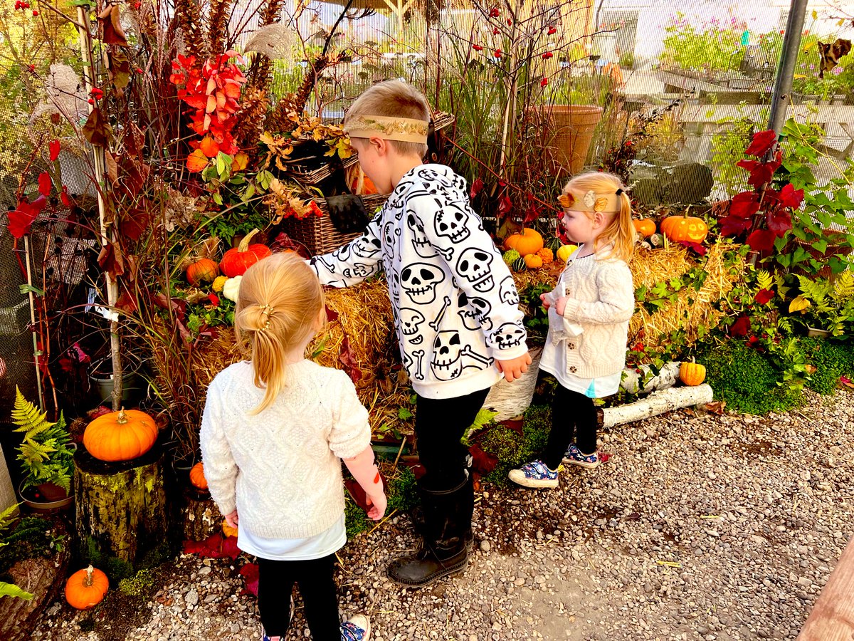 🎃Halloween fun time with the grandkids @BethChattoGdns 👻

#nannysgardenworld 

#halloween #garden #historicgarden #pumpkins