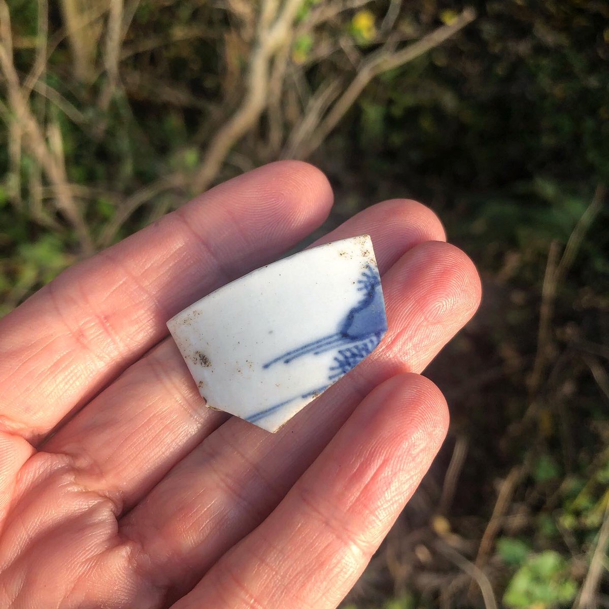 BMudlark's tweet photo. I found this little hand painted piece! It was just sitting on the grass as if it was left by some one… or something 🐇
The word porcelain comes from the Old Italian word ‘porcellana’ meaning cowrie shell! #Porcelain #cowrieshell #mudlark #fieldlarking #fieldfind #handpainted https://t.co/127K06hMhu