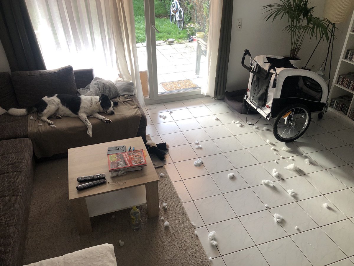 Morgens,halb zehn in Deutschland: die Stoffmietzekatze wurde erfolgreich zerlegt