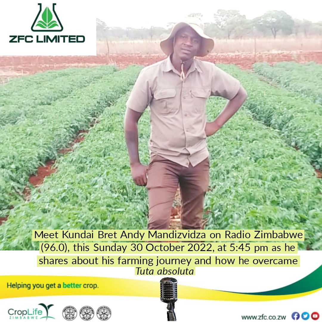 Meet Young Farmer Kundai Bret Andy Mandizvidza this evening on Radio Zimbabwe and be inspired. 

#HelpingYouGetABetterCrop