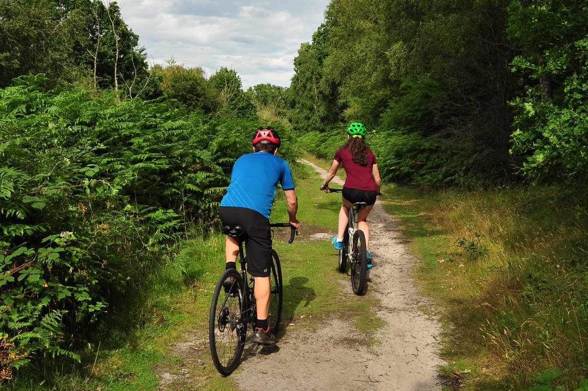 Next Sunday 6th November we're excited to be hosting the RSPB Suffolk Go Wild cycle event with @PedalRevuk Visitors to the reserve to be aware of cyclists on the entrance road and to follow instructions of staff of where to park between 8:30-11am.