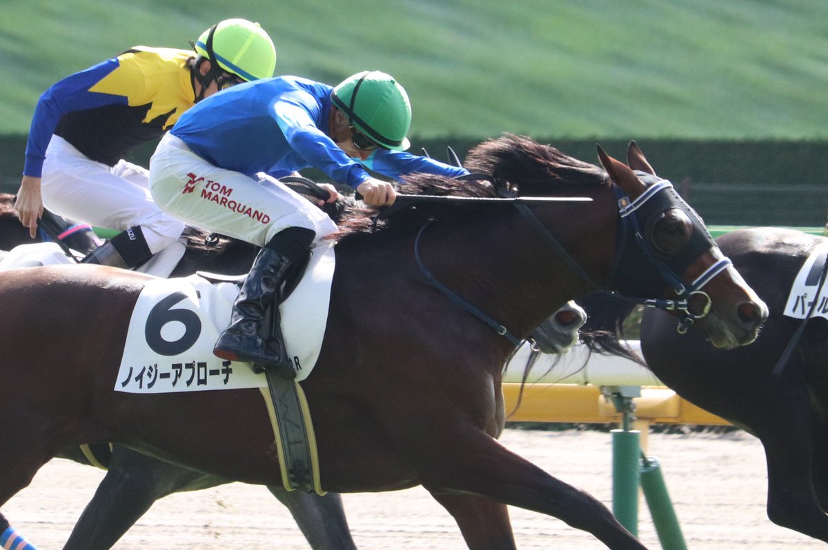 Tom Marquand (@tommarquand) on Twitter photo Amazing first weekend riding in Japan getting 2 winners on the board, first on Catulus Felis for Northern Farm on Saturday & Noisy Approach for Godolphin today ππ―π΅π
β’
Thanks for holding my placard too <a href="/HollieDoyle1/">Hollie Doyle</a> π€£ Amazing first weekend riding in Japan getting 2 winners on the board, first on Catulus Felis for Northern Farm on Saturday & Noisy Approach for Godolphin today ππ―π΅π
β’
Thanks for holding my placard too <a href="/HollieDoyle1/">Hollie Doyle</a> π€£