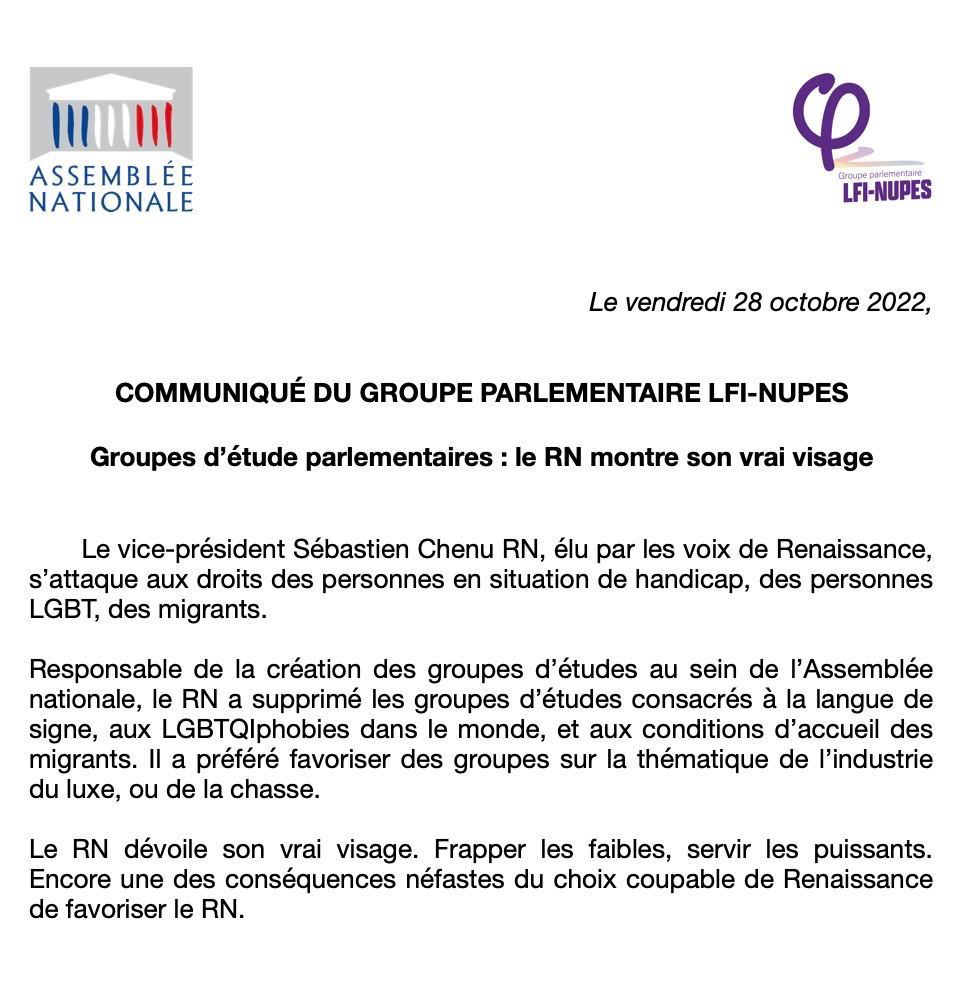 Le vice-président de l'Assemblée Nationale Sébastien Chenu (Rassemblement National) a supprimé les groupes d'études consacrés aux LGBTphobies, à la langue des signes et aux conditions d'accueil des migrant.e.s pour les remplacer par des groupes sur la chasse et le luxe.