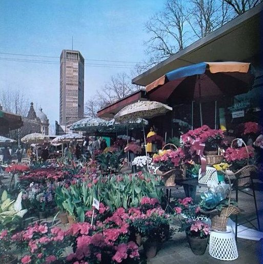 todDM53izjASpRe's tweet photo. DOK SAM BIO "CVETNI" 💐🌸🌹🙄😧🥴

Cvetni Trg Foto iz 80 ih godina https://t.co/pT22SlRMG6