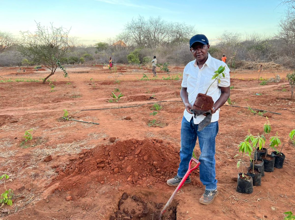 DrAlfredMutua's tweet photo. I AM PLANTING 5000 TREES TO SAVE THE ENVIRONMENT AND AS THANKSGIVING

In keeping with the advice by our President William Ruto, and as part of our campaign to roll back climate change, and in anticipation of the rains later on this month, I have today planted 52 trees https://t.co/rtwFPxqSpE