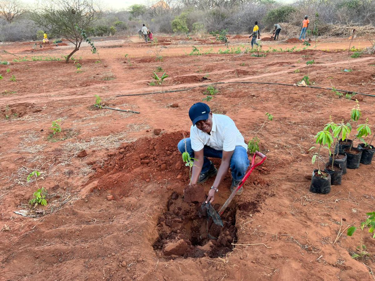 DrAlfredMutua's tweet photo. I AM PLANTING 5000 TREES TO SAVE THE ENVIRONMENT AND AS THANKSGIVING

In keeping with the advice by our President William Ruto, and as part of our campaign to roll back climate change, and in anticipation of the rains later on this month, I have today planted 52 trees https://t.co/rtwFPxqSpE