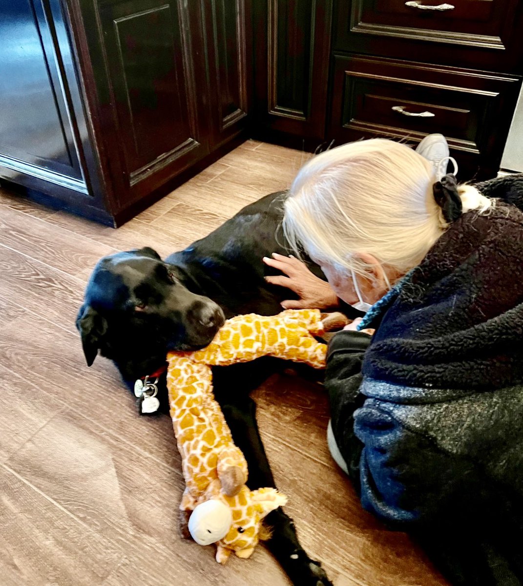 yayatomdagger3's tweet photo. Dagger DogVinci’s message of the day: ”Happy Sunday Funday!!” https://t.co/rBOD1gvubh