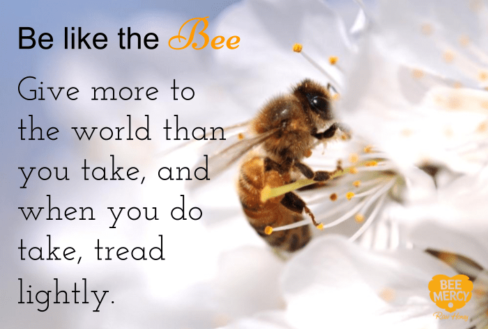 beemercyuk's tweet photo. A hive with a heart.
#belikethebeee #beemercy #honey #rawhoney #savethebee #lovethebees
https://t.co/Jpv3LAo47B https://t.co/ZbHAS536Mm