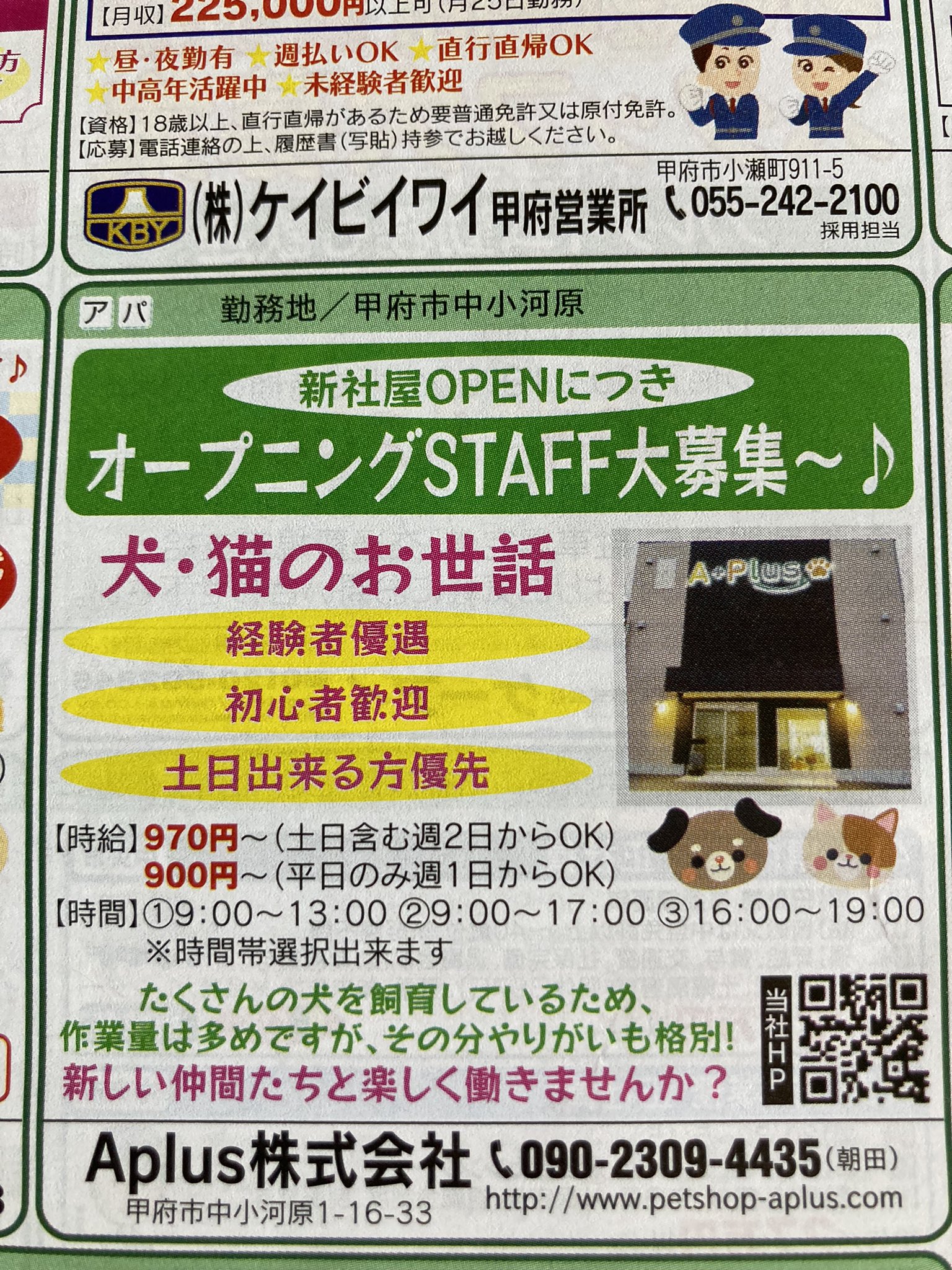 ペットショップワンピース Twitter Search Twitter