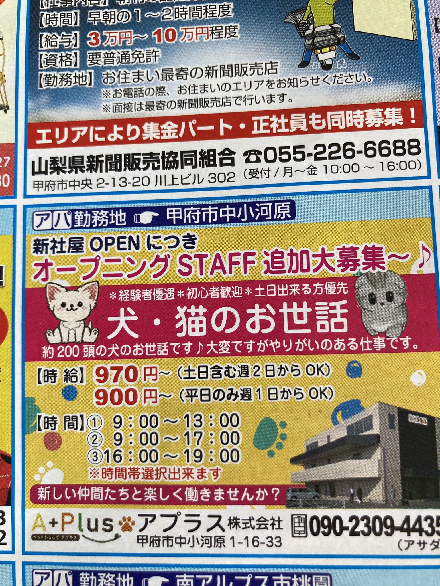 ペットショップワンピース Twitter Search Twitter
