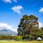 ばおキャンプブログ🏕 キャンプ好き・ギア好き集まれ!のツイート画像