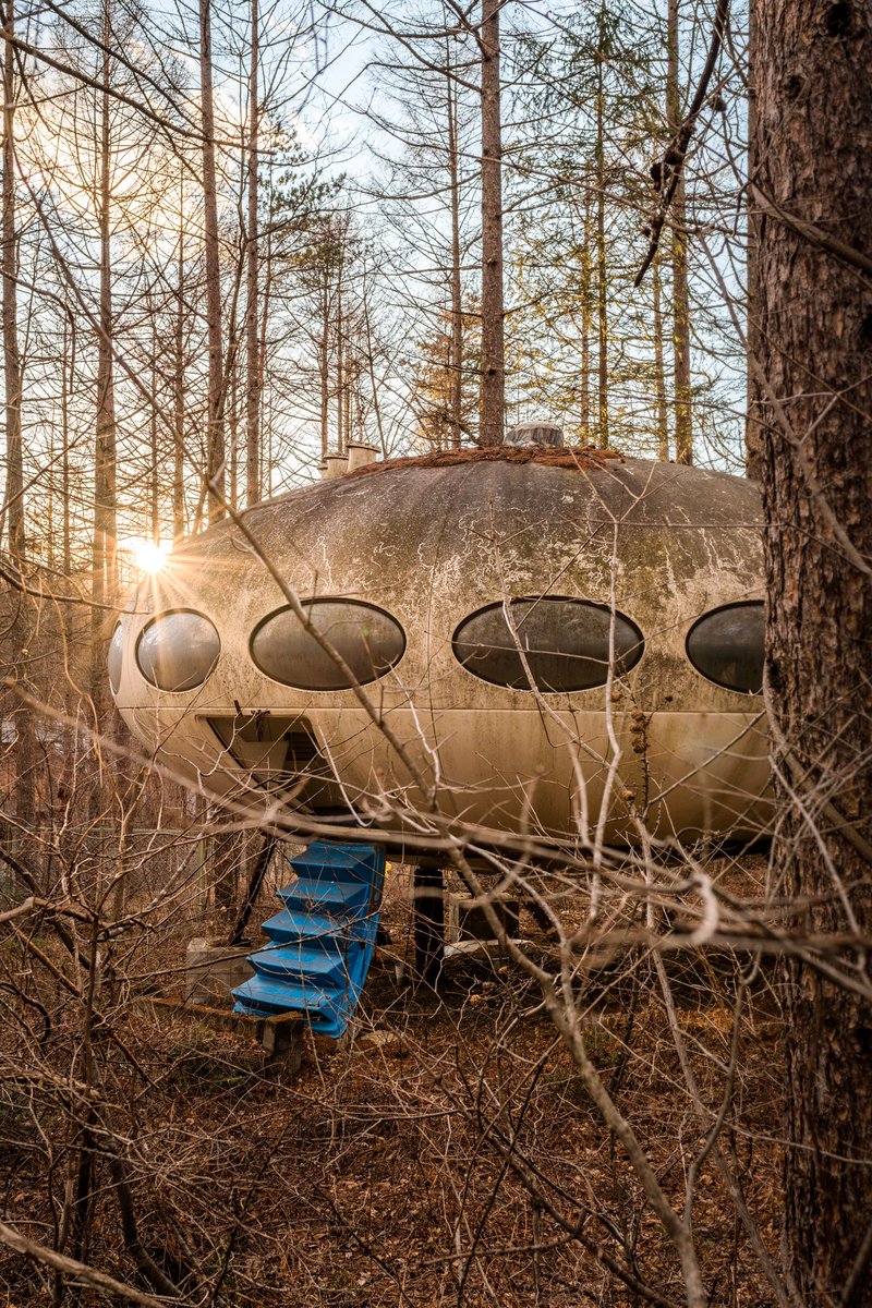 未知との遭遇。みたいな写真。