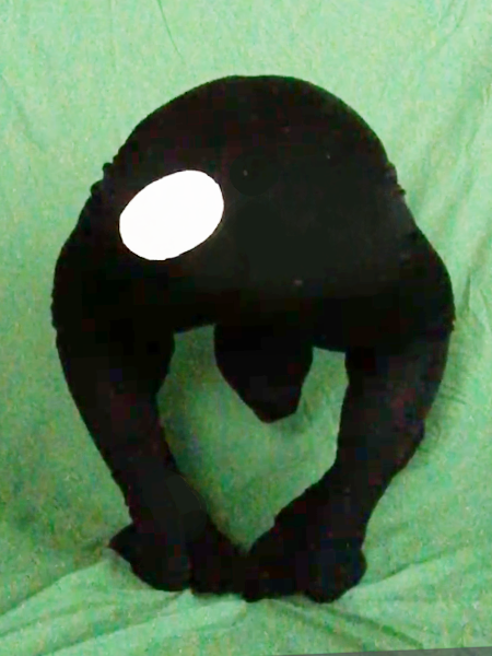 [閒聊] “眼睛”的Cosplay 