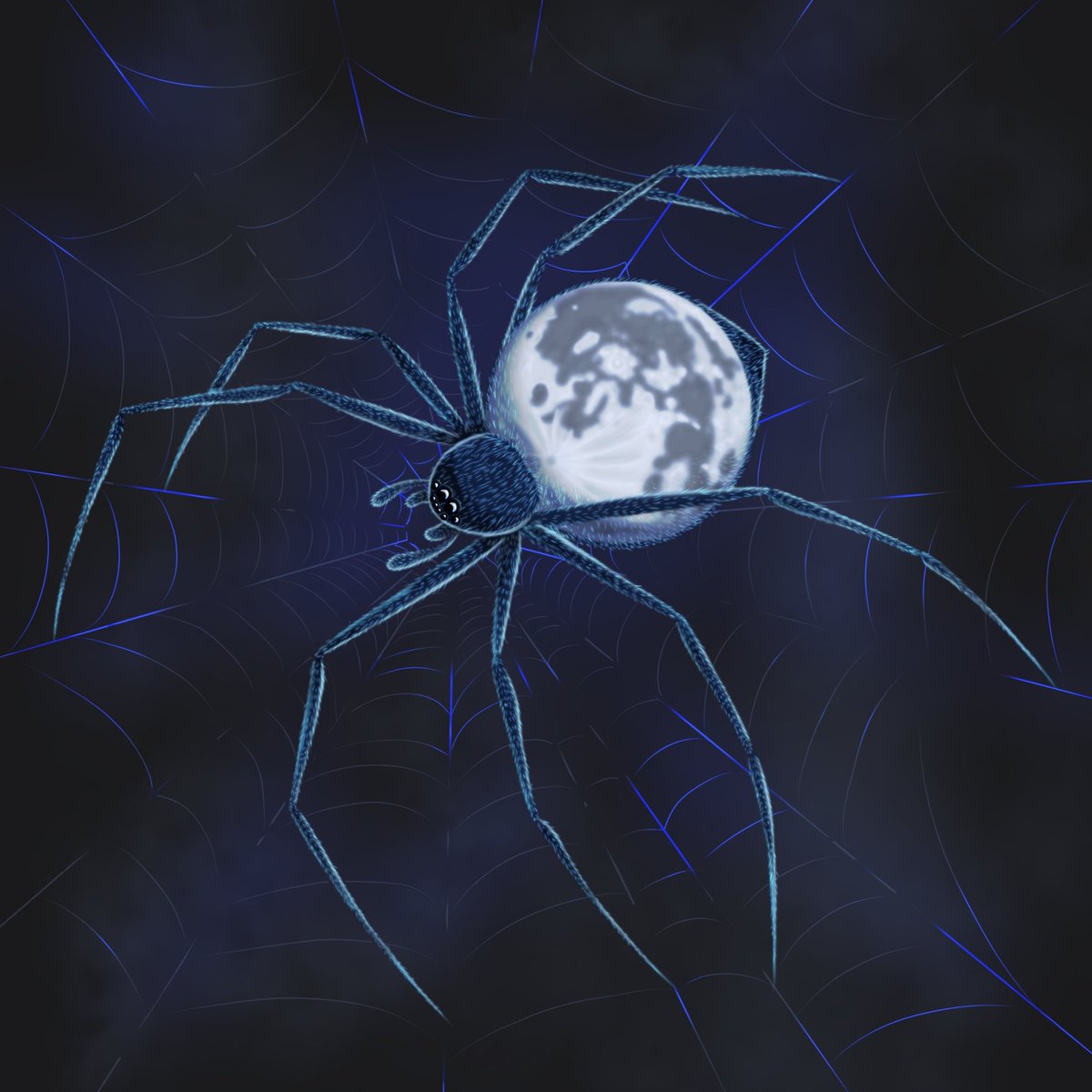 Irbek_art's tweet photo. GM #NFTFam
My new art 
🌠Spider Moon
🌠0.04 ETH
https://t.co/rx1u5QQeyg https://t.co/vo6IM4KW3Y
